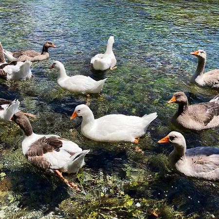 Hotel Castello Boutique