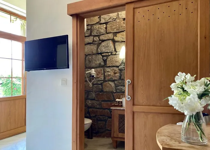 ホテル Portofino Boutique 3*