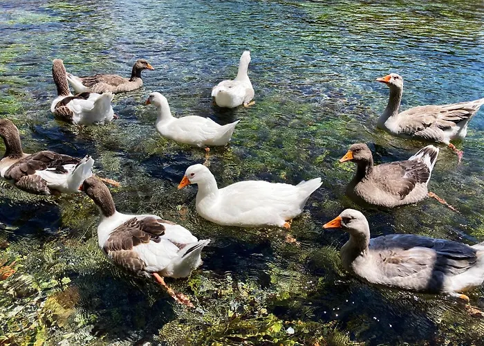 فندق Portofino Boutique